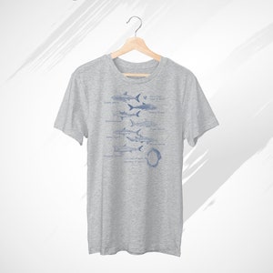 May include: A heather grey t-shirt with a graphic of different types of sharks, including the Great White, Whale Shark, Tiger Shark, Mako Shark, and Hammerhead Shark. The text "Shark Teeth" is printed above the graphic, and the text "Respect the Ocean" is printed below the graphic.