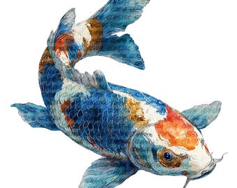 Koivissen clipart kleurrijke karper illustratie papier ambachtelijke PNG digitale download