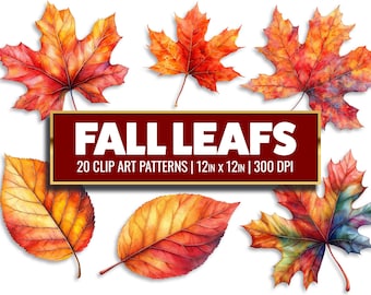 Herfstblad Clipart Herfstbladeren Aquarel Digitale Papercraft Woodland Junk Journal Bundel