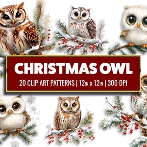 May include: 20 digital clip art patterns featuring owls with Christmas-themed decorations, such as snow, berries, and pine branches. The owls are in various poses and colors, including brown, white, and gray. The patterns are 12 inches by 12 inches and 300 DPI.