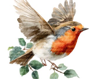 Christmas Robin Clipart European Robindale Paper Craft PNG Watercolor Bird Bundle (Digital Download)