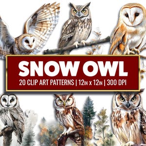 Sneeuwuil illustraties aquarel uil digitale papier kerkuil clipart papier ambachtelijke aquarel afdrukbare PNG plakboek ontwerp winteruil dagboek Kit