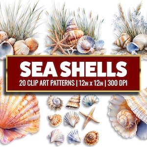 Watercolor Sea Shell Clipart: Ocean Animal PNG Bundle (Digital Papercraft)