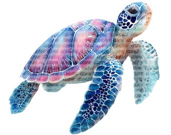 海中水彩画クリップアート 水中動物バンドル PNG デジタルダウンロード