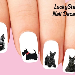 Calcomanías de uñas Tatuajes de uñas Set de 20 - Scotti Scottish Terrier Assorted
