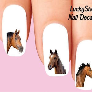 Nail Decals Nail Tattoos Set of 20 - Brown Horse Assorted