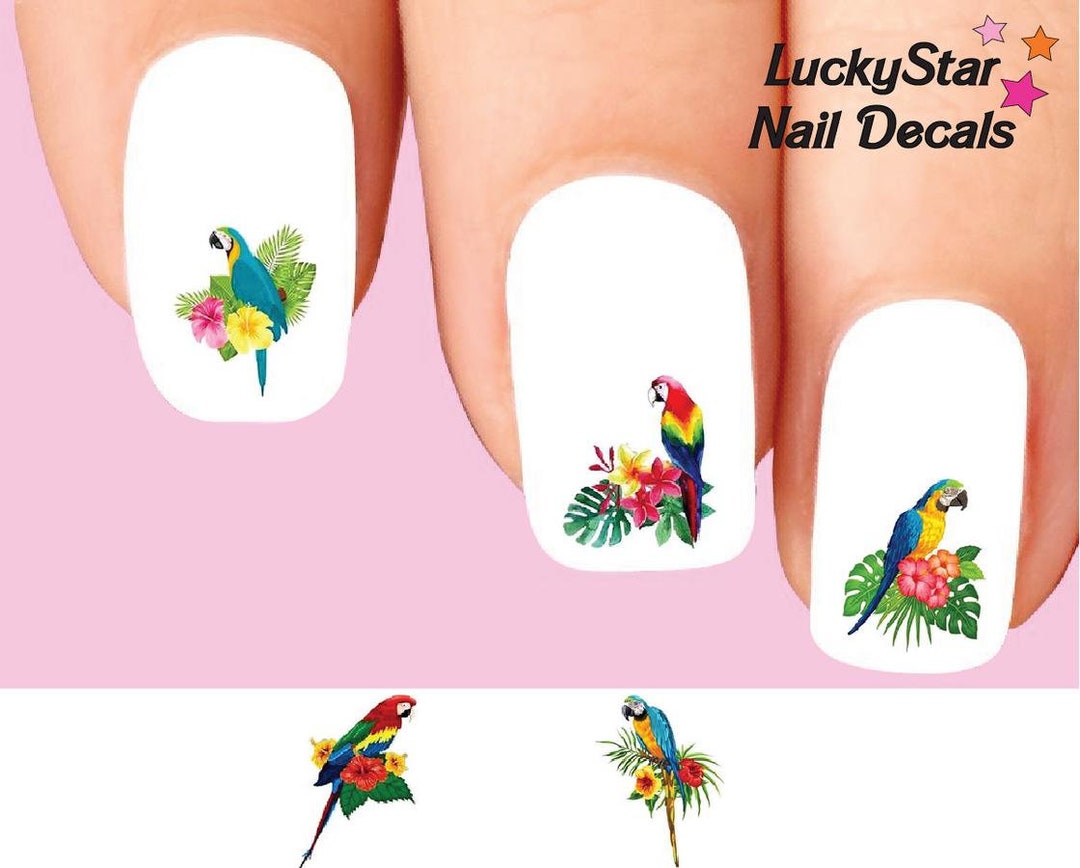 Nail Decals Nail Tattoos Set of 20 Colorful Parrots Assorted Etsy