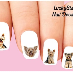 Calcomanías de uñas Tatuajes de uñas Juego de 20 - Yorkie Yorkshire Terrier Surtido