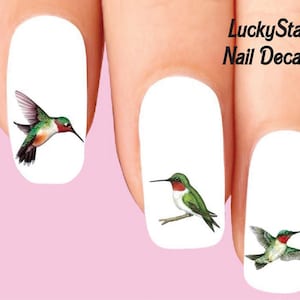 Może przedstawiać: Naklejki na paznokcie z ilustracjami kolibrów w locie i w spoczynku. Ptaki mają zielone, czerwone i białe upierzenie. Tekst "LuckyStar Nail Decals" znajduje się w prawym górnym rogu.