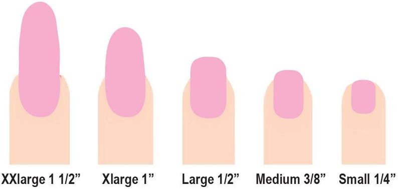 May include: An illustration of five nail sizes: XXLarge 1 1/2", XLarge 1", Large 1/2", Medium 3/8", and Small 1/4". Each nail is painted pink and shown on a light skin tone finger. The sizes are labeled at the bottom.