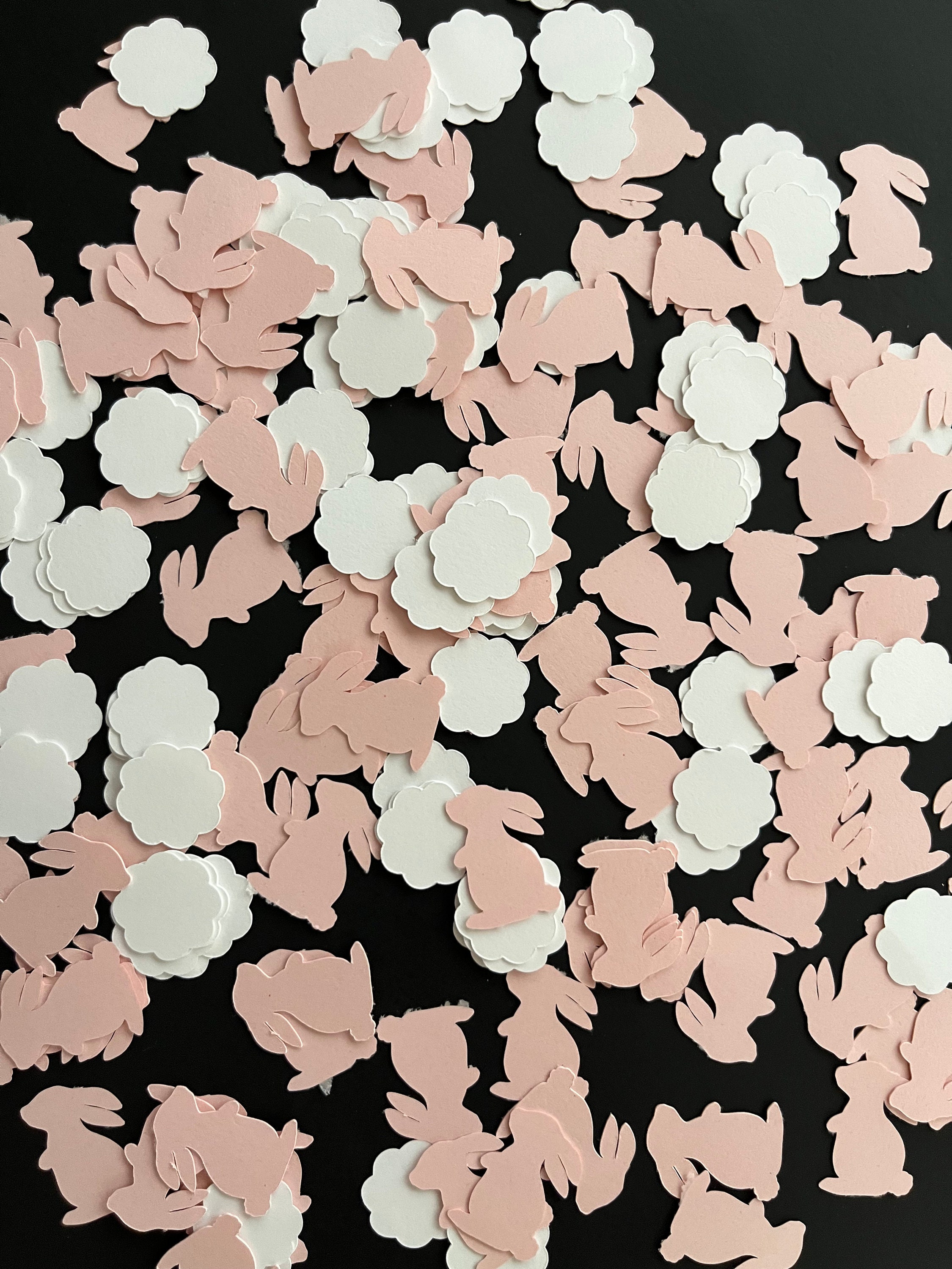 Some Bunny is One Confetti Some Bunny is One Birthday Party First Birthday Bunny Theme Party Party Decor Kids Birthday Party