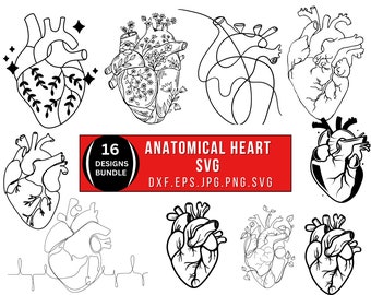 Anatomical Heart Svg / Png, Heart Svg Bundle, Human Heart Svg Jpg, Anatomical Heart Dxf, Flower Heart Svg, Medical Svg, Svg Files For Cricut