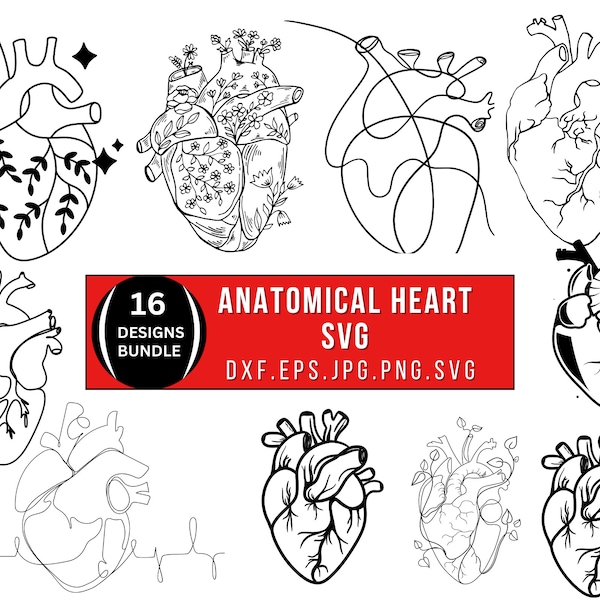 Anatomical Heart Svg / Png, Heart Svg Bundle, Human Heart Svg Jpg, Anatomical Heart Dxf, Flower Heart Svg, Medical Svg, Svg Files For Cricut