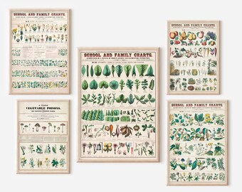 Lot de 5 affiches botaniques vintage pour impression numérique, affiche de plante en téléchargement numérique, impressions pour appartement, impressions pour maison, affiche de jardinage
