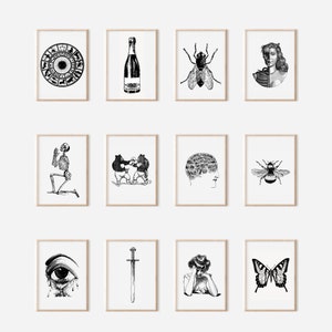 Peut inclure: Une collection de douze illustrations encadr&eacute;es en noir et blanc. Les images comprennent une roue du zodiaque, une bouteille de champagne, une mouche, un portrait de femme, un squelette, deux lutteurs de sumo, un cerveau, une abeille, un &oelig;il qui pleure, une &eacute;p&eacute;e, une femme et un papillon.