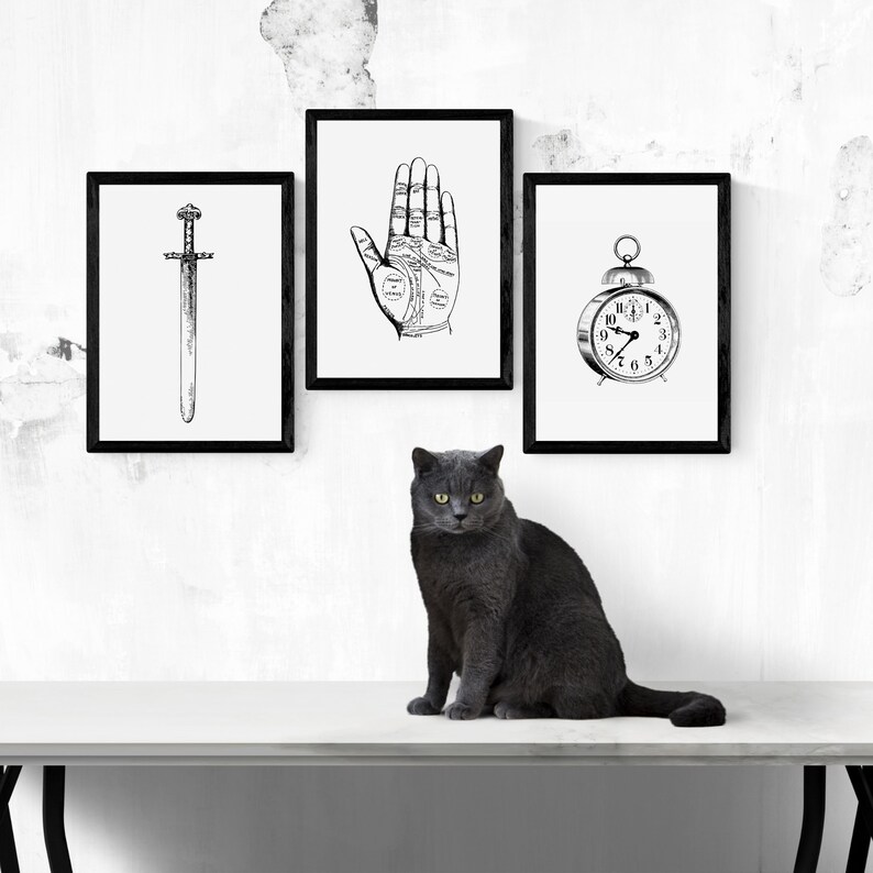 Peut inclure: Trois impressions encadr&eacute;es en noir et blanc : une &eacute;p&eacute;e, une main de chiromancie et un r&eacute;veil. Un chat gris est assis sur une surface blanche devant les impressions.
