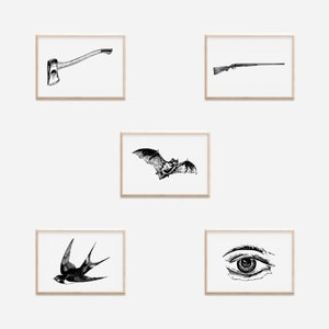 Peut inclure: Cinq illustrations encadr&eacute;es en noir et blanc. Les images comprennent une hache, un fusil, une chauve-souris en vol, une hirondelle et un &oelig;il d&eacute;taill&eacute;. Chaque image est dans un cadre en bois de couleur claire.