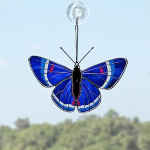 Necyria bellona Schmetterling Sonnenfänger, Fensterbild, Glasmalerei, einzigartiges Geschenk Muttertag, Geschenk für Mama, handgemachtes Wohndekor, moderne Kunst