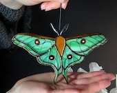 Artículos de esta tienda