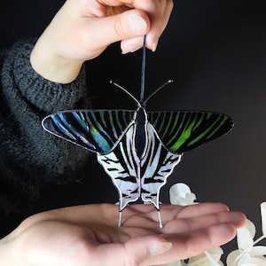 Urania leilus Schmetterling Sonnenfänger, Glasmalerei, Fensterschmuck, Muttertagsgeschenk, Geschenk für Mama, handgemachtes Wohndekor, moderne Kunst
