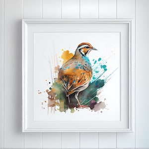 Partridge Fine Art Print - Extra Large Fine Art Prints
