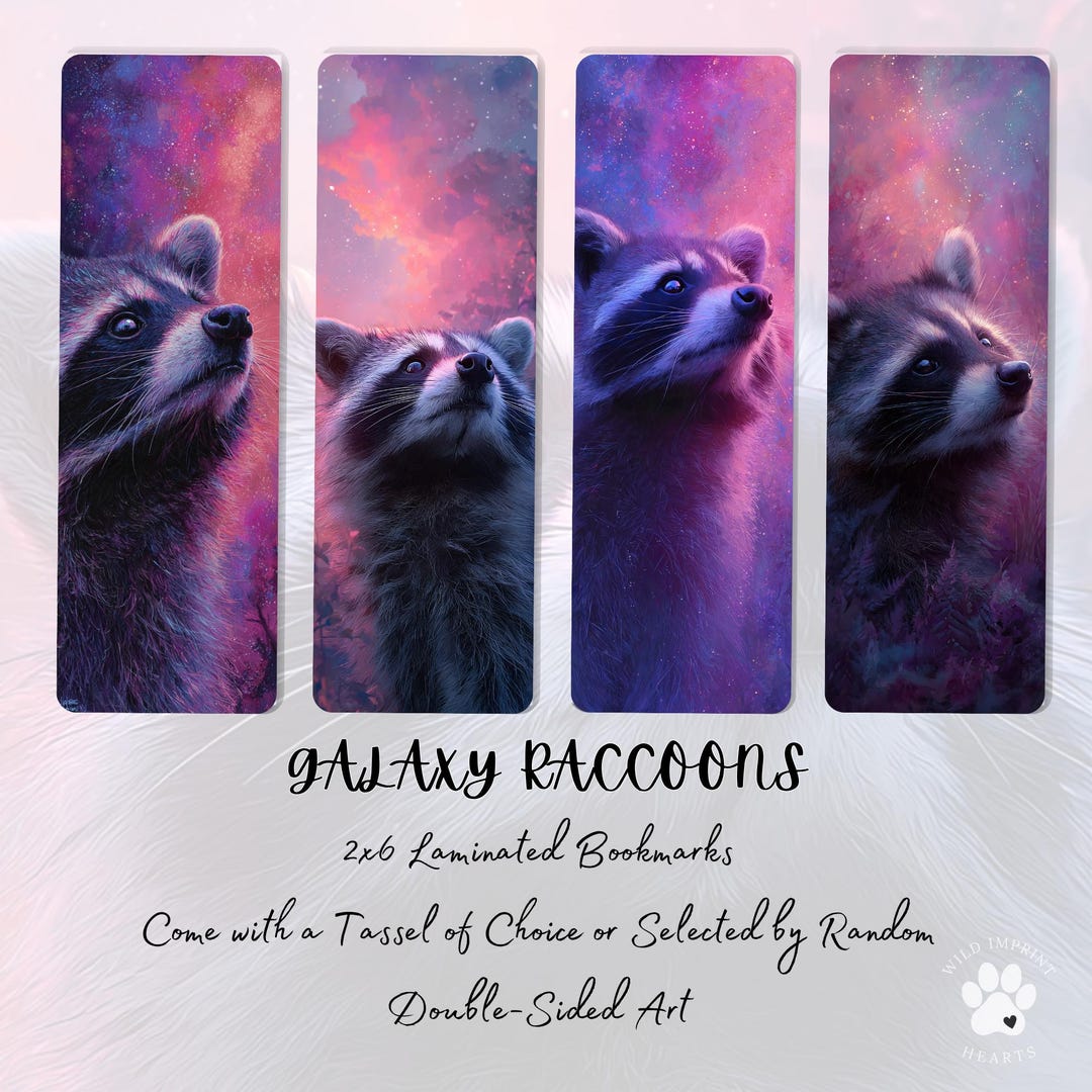 Galaxy Raccoons Bookmarks, Cosmic Raccoon Art Bookmark, Space Animal ...