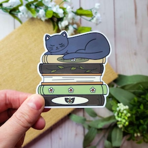 Black Cat Sleeping on Books Vinyl Sticker - Bookish Reader Gift
