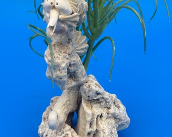 Caballito de mar entre algas - Escultura de concha