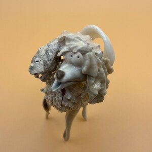 Poodle