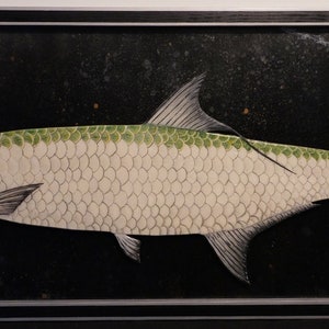 Tarpon Wall Art - Tarpon Fish Decor - Fishing Decor - Fish Wall Art