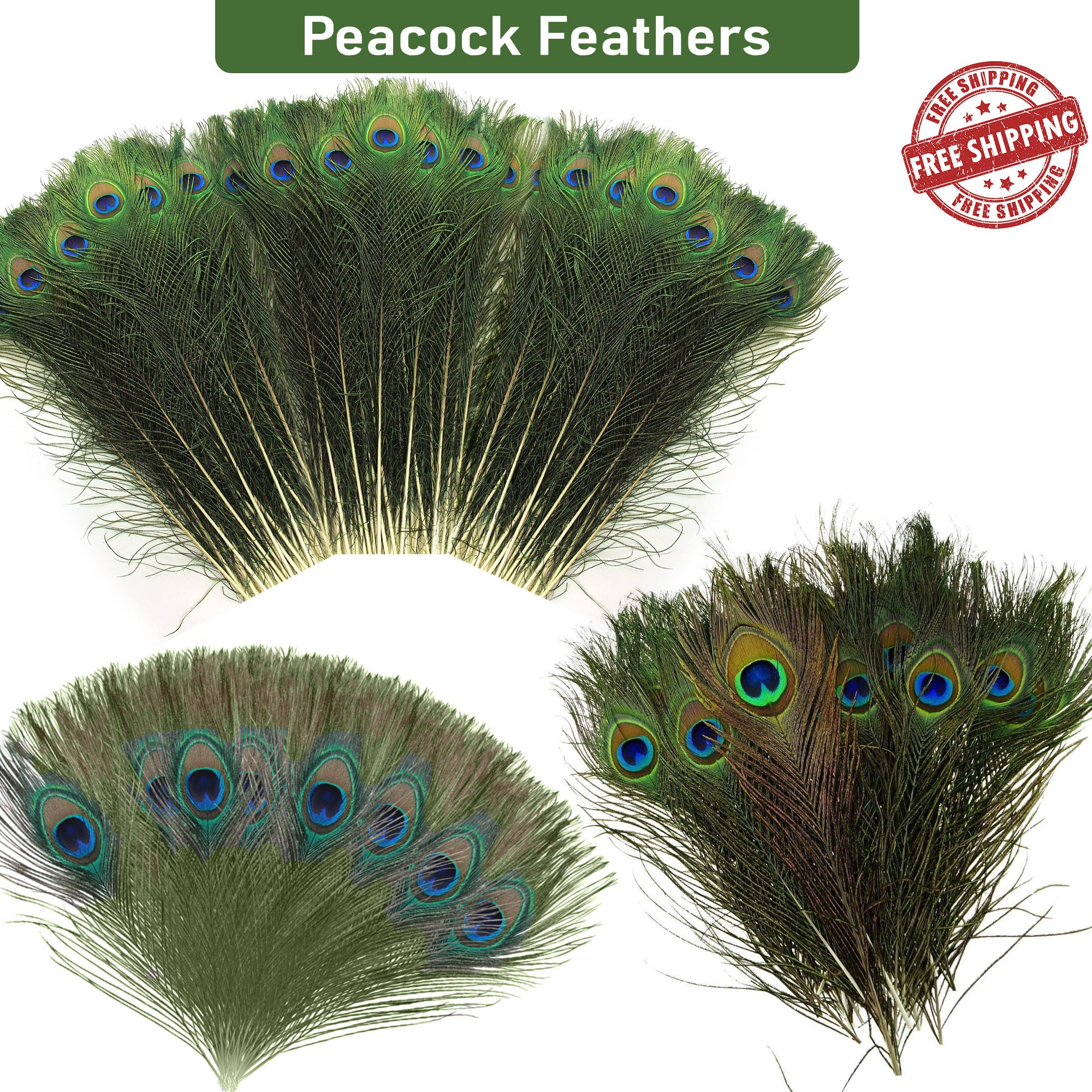 20pcs, Peacock Feathers, REAL Feathers, Natural Feathers, 23-30 cm, Feather  Crafts, Floral Arranging, Bird Feathers, Feather Hair Clip