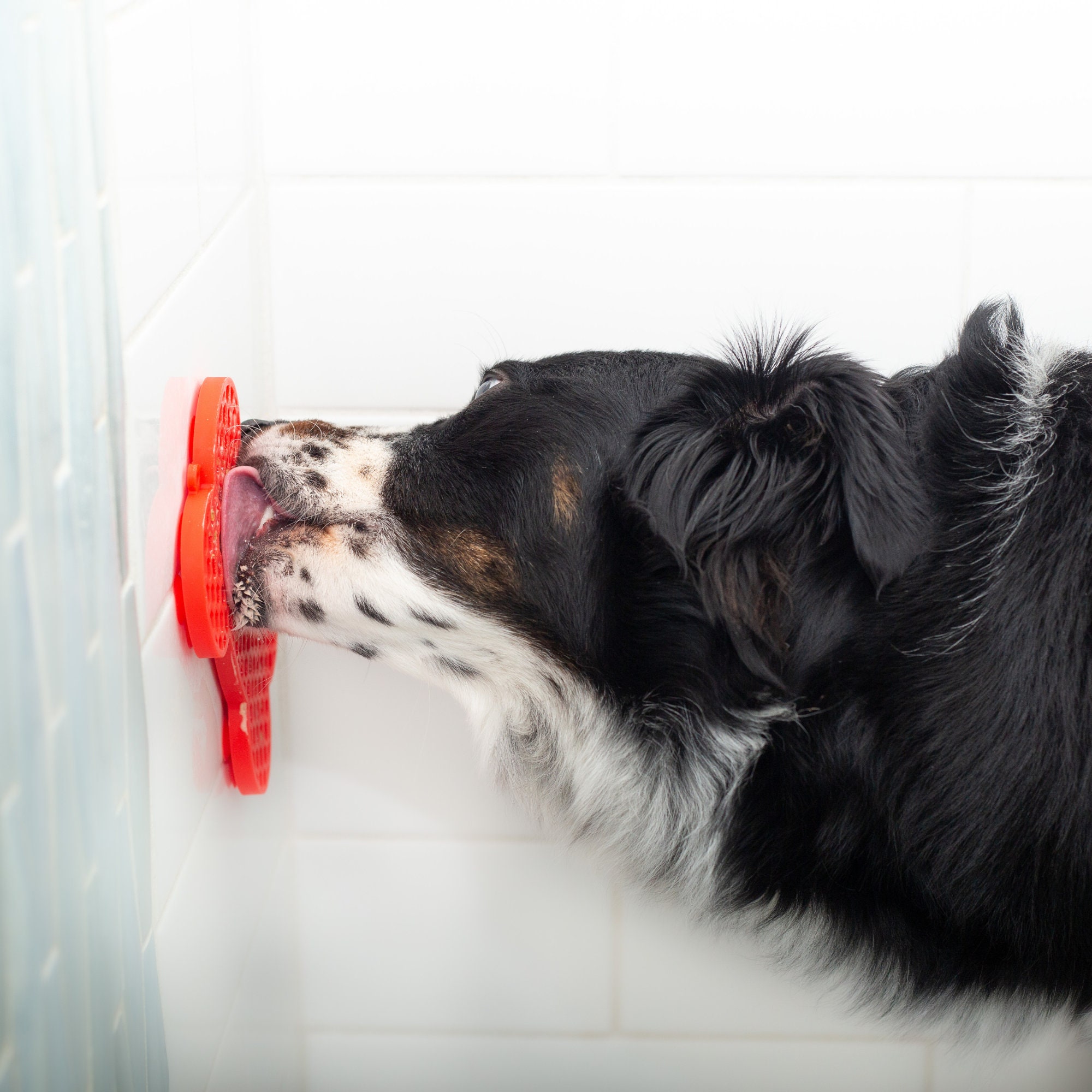 Silicone Dog Bath Peanut Butter Lick Pad Silicon Pet Licking Slow