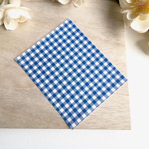 May include: A blue and white gingham patterned paper sheet.