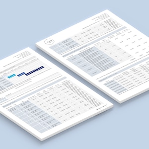 Puede incluir: Dos p&aacute;ginas de un documento con un esquema de color azul y blanco. La primera p&aacute;gina se titula "Gr&aacute;fico de costo relativo" y muestra un gr&aacute;fico de barras con barras azules y negras. La segunda p&aacute;gina se titula "Informe de estado del proyecto" y muestra una tabla con columnas para "Categor&iacute;a", "Estado", "Inicio", "Fin" y "Progreso".