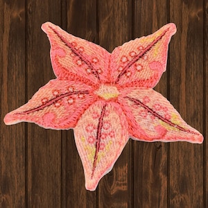 Puede incluir: Una estrella de mar bordada de color rosa y amarillo con un diseño detallado. La estrella de mar está sobre un fondo de madera marrón.