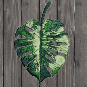 May include: A green and white monstera leaf with a variegated pattern. The leaf is embroidered with green and white thread and has a realistic texture.