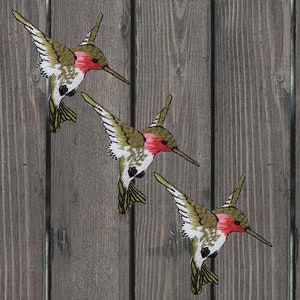May include: Three embroidered hummingbird patches. Each patch features a hummingbird with olive green wings, a red throat, white chest, and a long, slender beak. The patches are set against a wooden background.