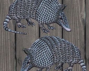 A Cute Armadillo Is Walking In The Desert The Armadillo Is Made Of - Foto 2