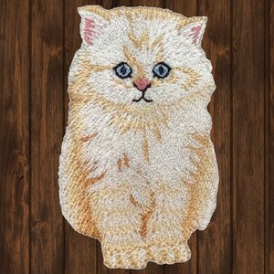 Può includere: Un toppa ricamata di un gattino soffice con occhi azzurri, in bianco e arancione.
