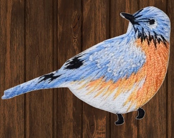 Può includere: Un uccello azzurro con un corpo blu chiaro e arancione, occhi neri e un becco nero. L'uccello è appollaiato su una superficie di legno.