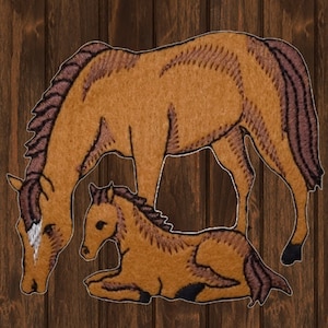 May include: A brown horse and a brown foal standing on a wooden background. The horse is standing with its head down and the foal is lying down.