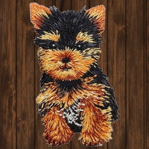 May include: A brown and black Yorkshire Terrier puppy with a white patch on its chest. The puppy is standing on a wooden background.