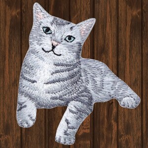 Peut inclure: Un chat tabby gris et blanc aux yeux bleus, couché sur une surface en bois. Le chat regarde vers la droite de l'image.