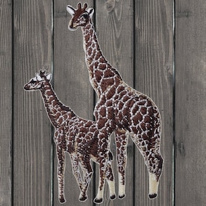 Op de afbeelding: Twee bruine en witte giraffen met lange nekken en vlekken staan ​​naast elkaar op een houten achtergrond.