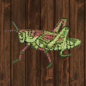 May include: A green and pink embroidered grasshopper silhouette on a brown wood background.