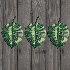 Pode incluir: Três patches bordados de folhas de monstera verdes e brancas. As folhas estão dispostas em fila sobre um fundo de madeira.
