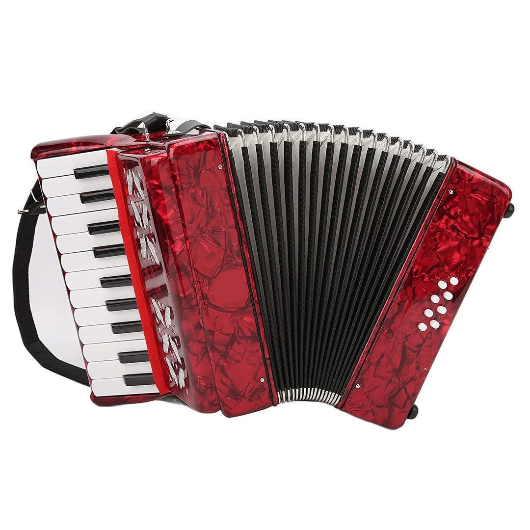 22key Accordions Portable Accordion for Beginner for Playing Etsy
