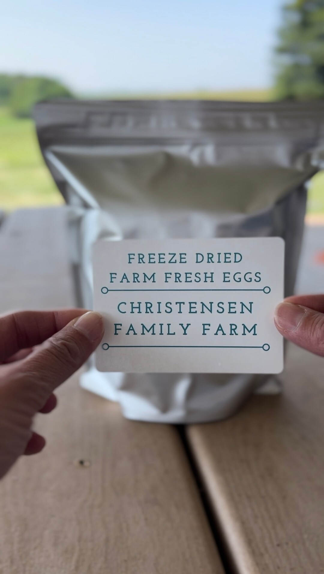 Bulk Discount Freeze Dried Eggs, Egg Powder, Food Storage, Farm Fresh