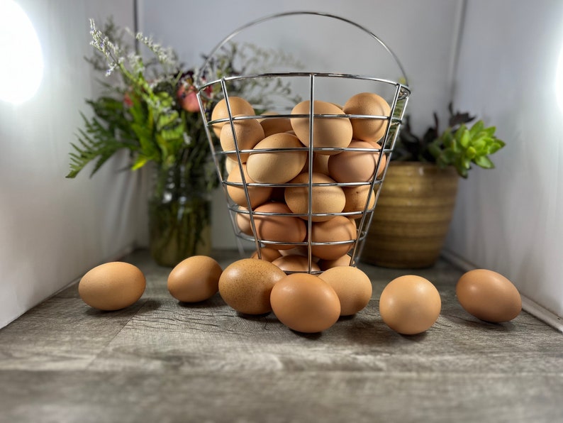 Bulk Discount Freeze Dried Eggs, Egg Powder, Food Storage, Farm Fresh