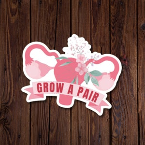 Sticker cultiver une paire d'ovaires, tons roses avec fleurs, vinyle résistant à l'eau, sticker féministe stimulant, ovaires floraux, rjdesignsstickers
